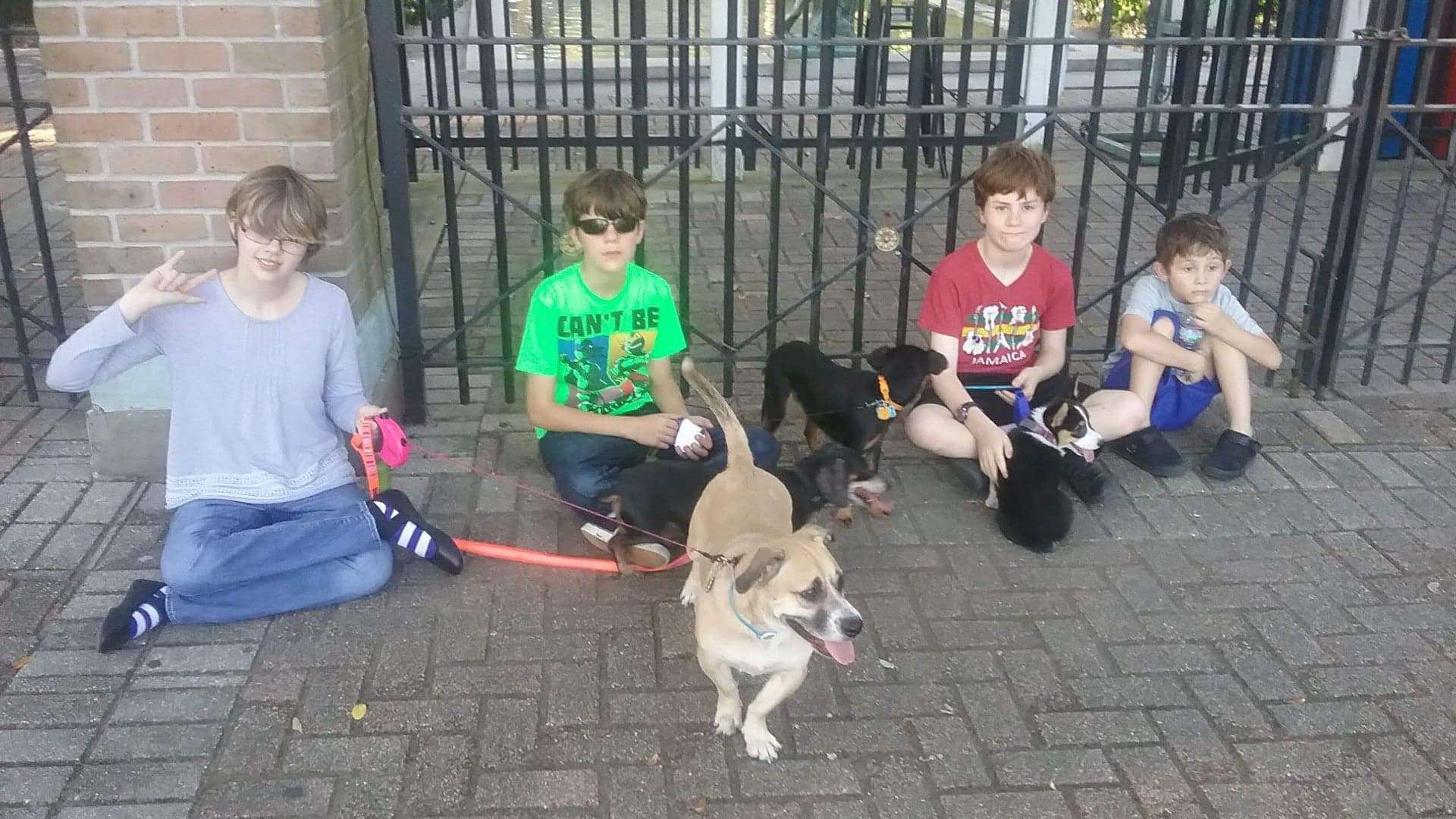 Photo of my four kids sitting in a park with our dogs