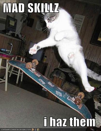 Cat and skateboard in mid-air with the caption 'MAD SKILLZ i haz them'