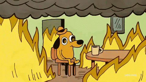 Meme from Adult Swim of a cartoon dog sitting in a house on fire saying, 'This is fine.'