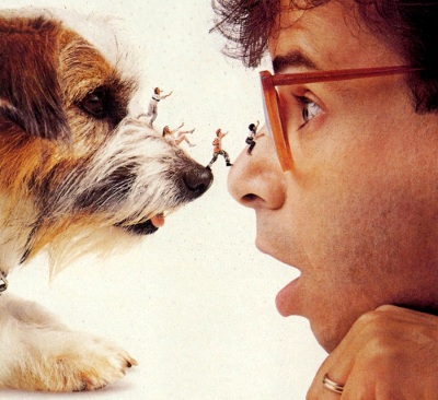 Portion of the 'Honey I Shrunk the Kids' movie poster